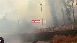 فوری / آتش سوزی وحشتناک در اسرائیل