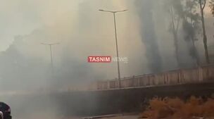 فوری / آتش سوزی وحشتناک در اسرائیل